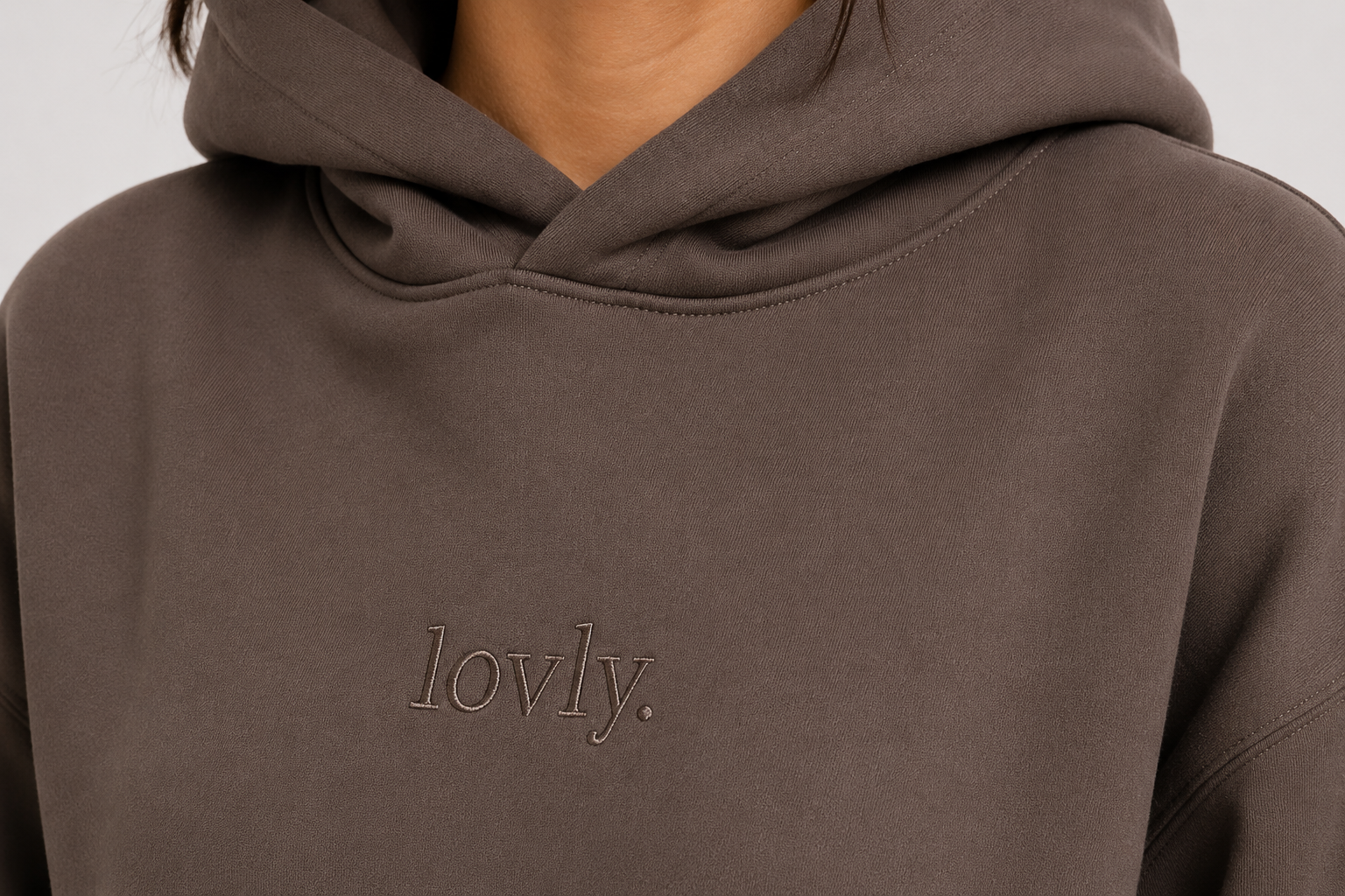 Do Not Disturb Hoodie - Mocha